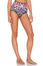 view 2 of 4 NATIVE PAISLEY 비키니 하의 in Multi
