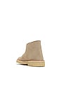 view 3 of 6 BOTA DESERT in Sand Suede