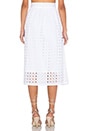 view 3 of 5 Vernon Eyelet Skirt in Eyelet