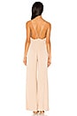 view 3 of 3 Sonja Jumpsuit in Bare