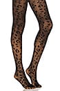 view 1 of 3 Leopard Sheer Tight in Black