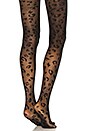 view 2 of 3 Leopard Sheer Tight in Black