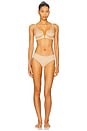 view 5 of 5 5 Pack Classic Bikini in Beige