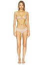 view 4 of 4 Chic Mesh Bikini Panty in Beige