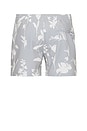 view 2 of 3 Arlen Swim Short in Grey