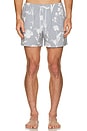 view 3 of 3 Arlen Swim Short in Grey