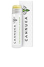 view 1 of 2 Hydrating Lip Balm in 