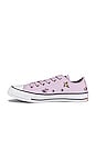 view 5 of 6 ZAPATILLA DEPORTIVA ALL STAR in Pale Amethyst