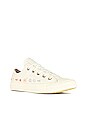 view 2 of 6 SNEAKERS ALL STAR in Egret, Multi, Black