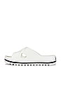 view 5 of 5 Chuck Taylor All Star Sandal in Egret & Black