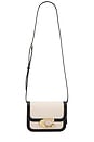 view 5 of 6 Canvas Idol Bag in Salt Stone & Black