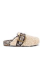 view 1 of 5 Shearling Clog in Natural