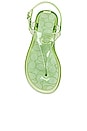 view 4 of 5 Natalee Jelly Sandal in Pale Pistachio