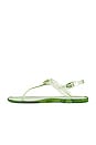 view 5 of 5 Natalee Jelly Sandal in Pale Pistachio