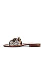 view 5 of 5 Ina Sandal in Maple & Oak
