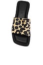 view 4 of 5 Florence Sandal in Leopard