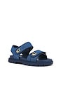 view 2 of 5 SANDALS 플랫 샌들 in Deep Blue