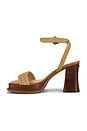 view 5 of 5 Platform Sandal in Natural Raffia