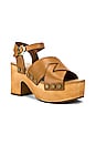view 2 of 5 Nessa Clog Sandal in Camel