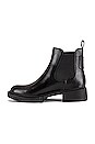 lyden bootie coach
