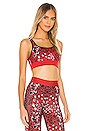 view 2 of 4 Leopard Star Scoop Neck Bra in Red