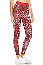 view 2 of 4 Leopard Star Legging in Red