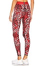 view 3 of 4 Leopard Star Legging in Red
