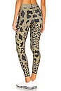 view 3 of 4 Twill Cheetah Legging in Honey