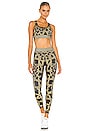 view 4 of 4 Twill Cheetah Legging in Honey