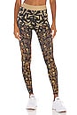 view 1 of 4 Loca Star Legging in Honey