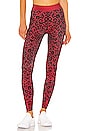 view 1 of 4 LEGGINGS LEOPARD in Apricot