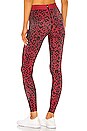view 3 of 4 LEGGINGS LEOPARD in Apricot