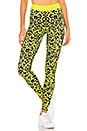 view 1 of 4 Leopard Legging in Neon