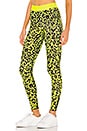 view 2 of 4 Leopard Legging in Neon