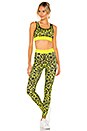 view 4 of 4 Leopard Legging in Neon