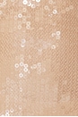 view 4 of 4 Sequin Cut-Out Dress in Nude