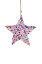 view 1 of 1 5 Point Magpie Sequin Star Ornament in 