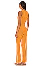 view 3 of 3 Vesta Jumpsuit in Rustic Orange