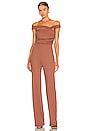 view 1 of 3 Teaghan Jumpsuit in Brick Mauve