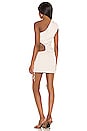 view 4 of 4 Sienna Mini Dress in Nude