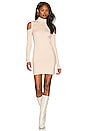 view 1 of 3 Taylor Sweater Dress in Taupe Nude