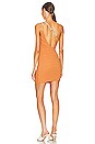 view 5 of 5 Ursula Mini Dress in Ginger Orange