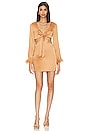 view 1 of 3 Krista Mini Dress in Soft Gold