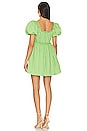 view 3 of 3 Radleigh Mini Dress in Green