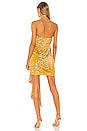 view 3 of 3 Antonia Mini Dress in Gold Tropical