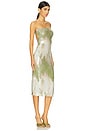 view 2 of 3 Alandra Midi Dress in Green & Beige