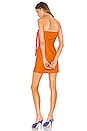 view 4 of 4 Ila Strapless Mini Dress in Desert Orange