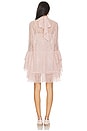 view 4 of 4 Norma Mini Dress in Dusty Pink
