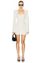 view 1 of 3 Deysi Mini Dress in Ivory