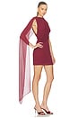 view 2 of 3 Casilda Mini Dress in Oxblood